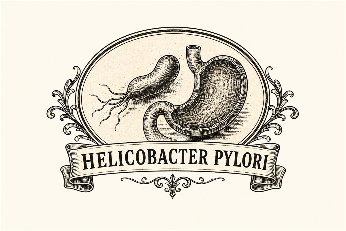 Helicobacter Pylori, invisibile ospite dello stomaco